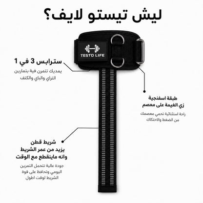 سترابس تيستو الكلاسيكي